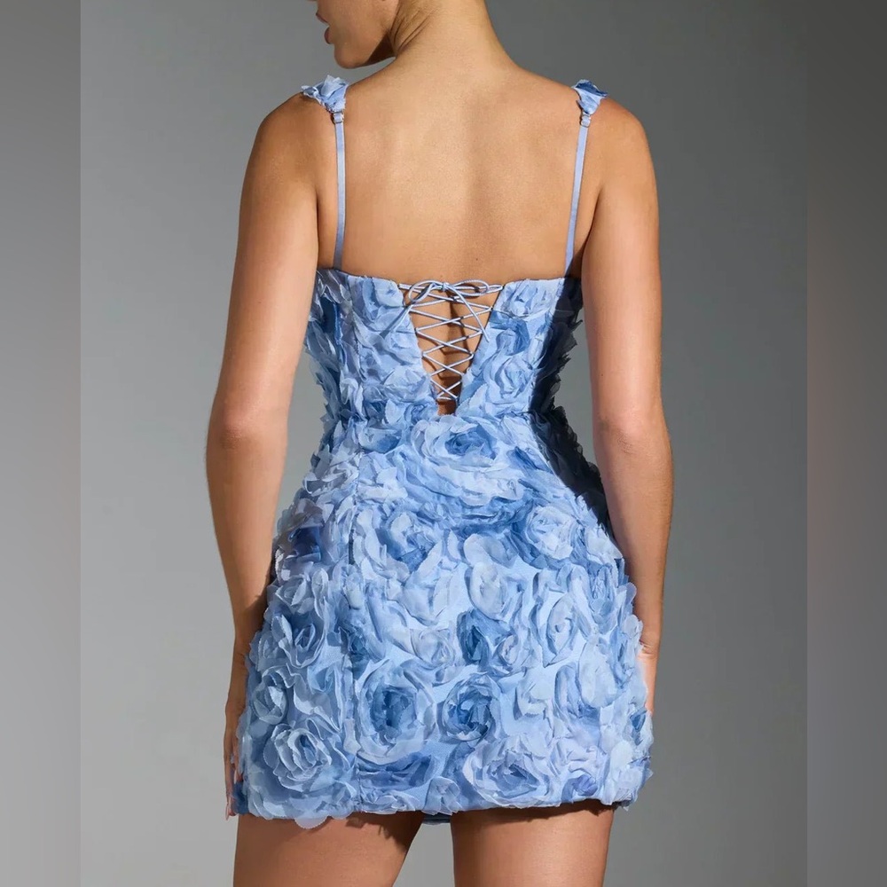 Oh Polly Posy Floral-Appliqué Square-Neck Corset Mini Dress - Picture 4 of 9